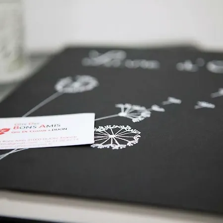 Bons Amis Apartamento Dijon