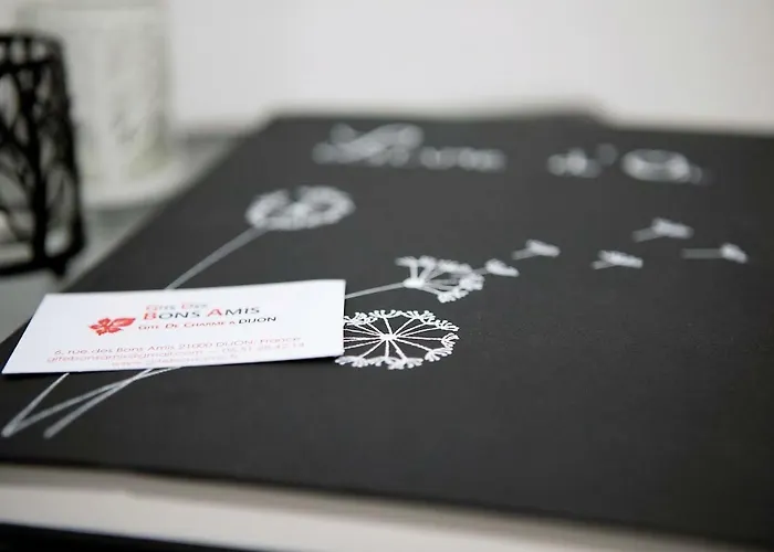 Bons Amis Apartment Dijon